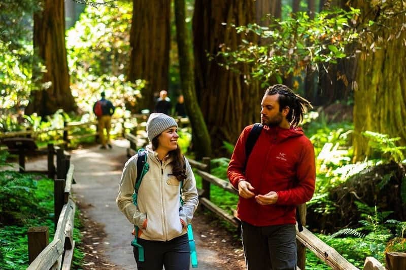 From San Francisco: Full Day Wine Country Tour and Muir Woods