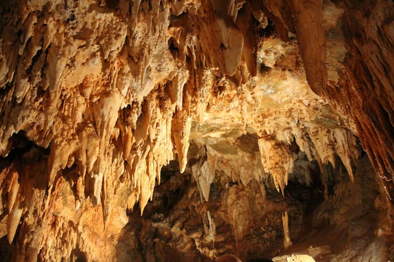 Toirano Caves