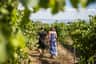 Ocean views from vineyard