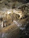 Toirano Caves: Fast Track Ticket Toirano Caves: Fast Track Ticket