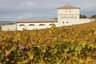 Bodega Doña Felisa